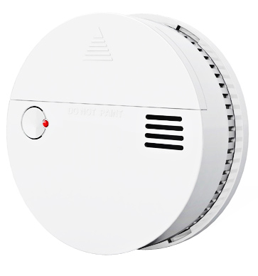 (image for) Smoke and Carbon Monoxide Detector Sound and Flash Alarm